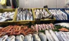 تكثيف الخرجات الرقابية لضمان سلامة الأسماك